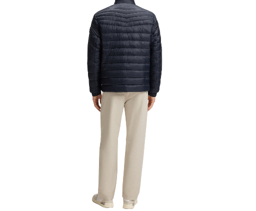 https://storage.alifshop.tj/media/images/alifshop/47582/kurtka-hugo-boss-mixed-quilting-packable-jacket-50530822-s-siniy-1768198228515.png