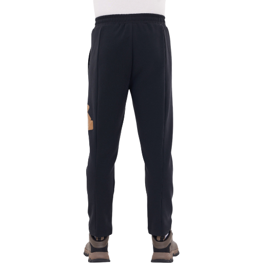 https://storage.alifshop.tj/media/images/alifshop/48268/shtany-rabex-lifestyle-aplw33-l-cherno-bronzovyy-1768814281312.png