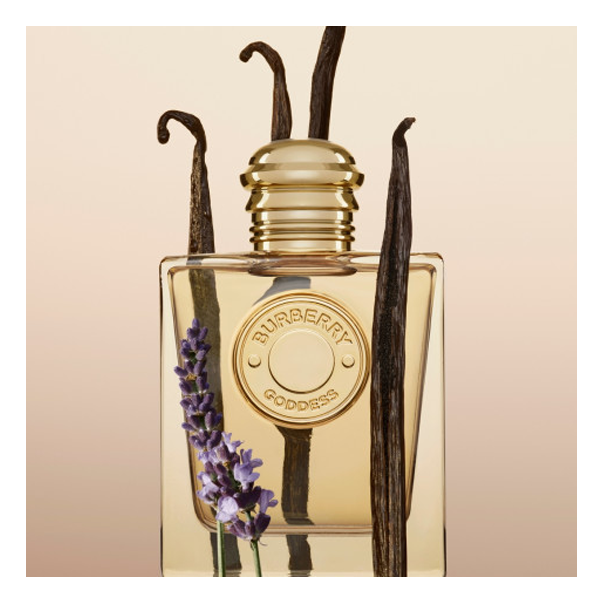 https://storage.alifshop.tj/media/images/alifshop/48583/parfyumernaya-voda-burberry-goddess-100-ml-1768992812330.png