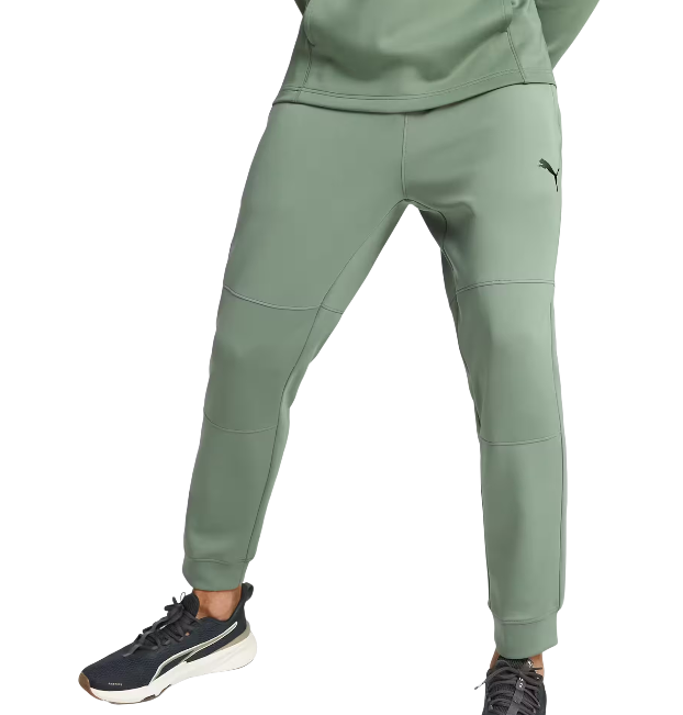 https://storage.alifshop.tj/media/images/alifshop/48870/muzhskie-bryuki-puma-fit-double-knit-jogger-523878-l-zelenyy-1769403834930.png