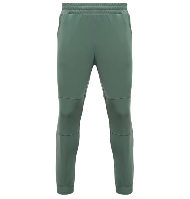 https://storage.alifshop.tj/media/images/alifshop/48872/muzhskie-bryuki-puma-fit-double-knit-jogger-523878-s-zelenyy-1769403915083.png