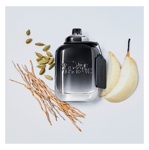 https://storage.alifshop.tj/media/images/alifshop/48936/tualetnaya-voda-coach-man-100-ml-1769410260382.png