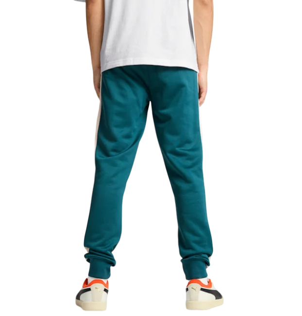 https://storage.alifshop.tj/media/images/alifshop/48950/muzhskie-bryuki-puma-t7-iconic-track-pants-men-539485-s-biryuzovyy-1769415225572.png