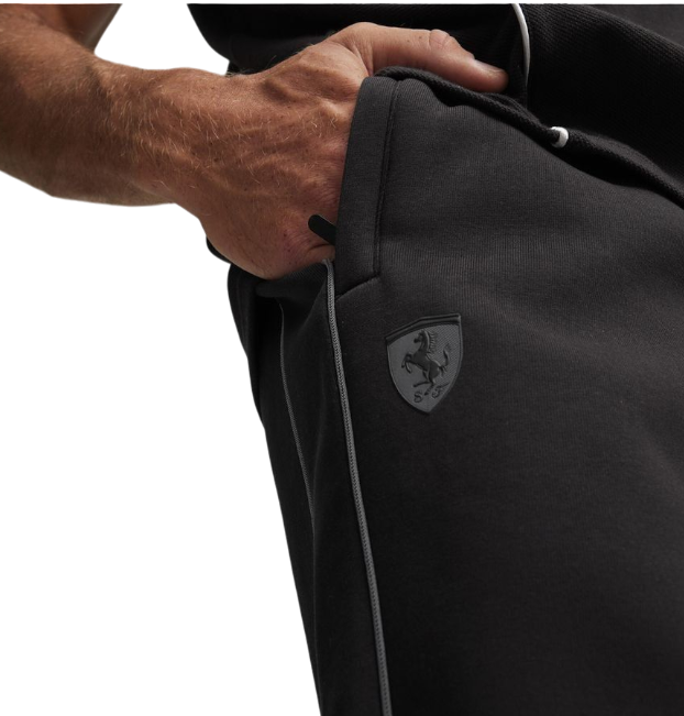https://storage.alifshop.tj/media/images/alifshop/49000/muzhskie-bryuki-puma-ferrari-style-mt7-pants-623830-xs-chernyy-1769418904328.png