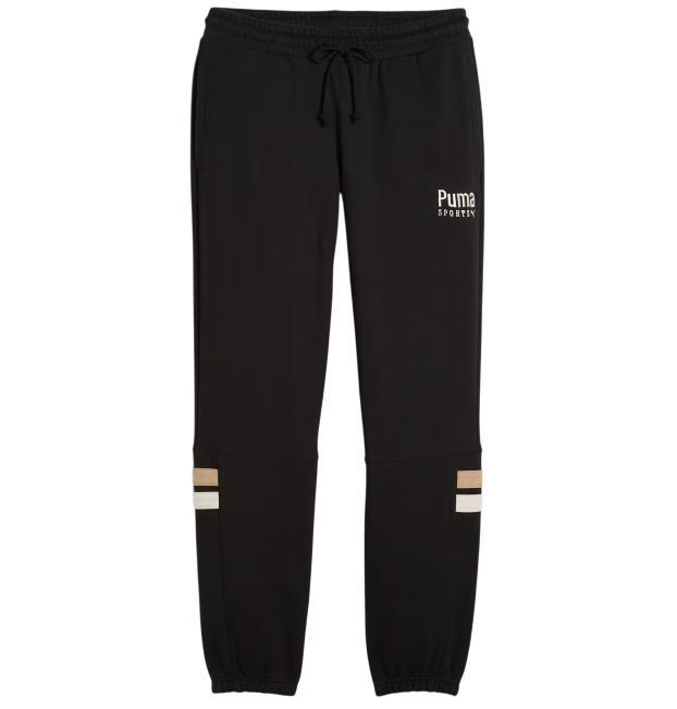 https://storage.alifshop.tj/media/images/alifshop/49020/muzhskie-bryuki-puma-team-sweatpants-tr-624344-xs-chernyy-1769420316149.png