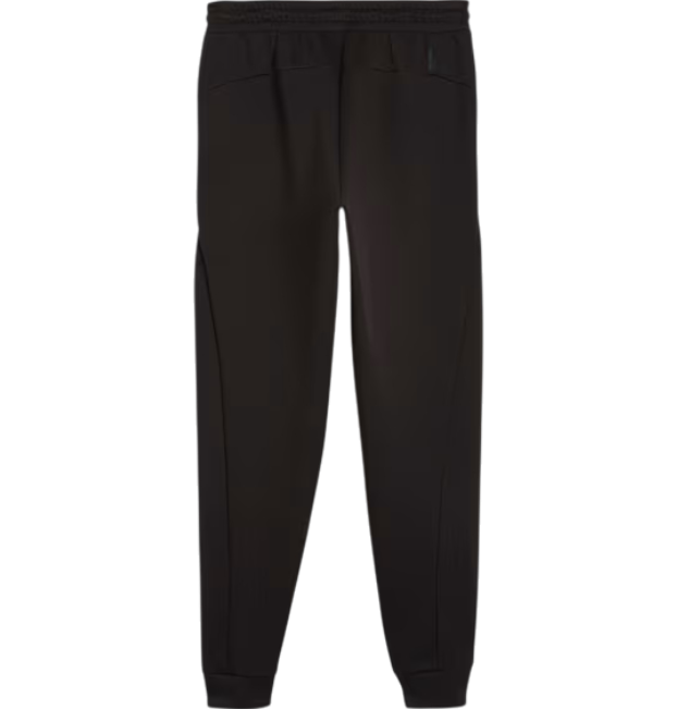 https://storage.alifshop.tj/media/images/alifshop/49040/muzhskie-bryuki-puma-pumatech-track-pant-dk-624388-xxl-chernyy-1769421291039.png