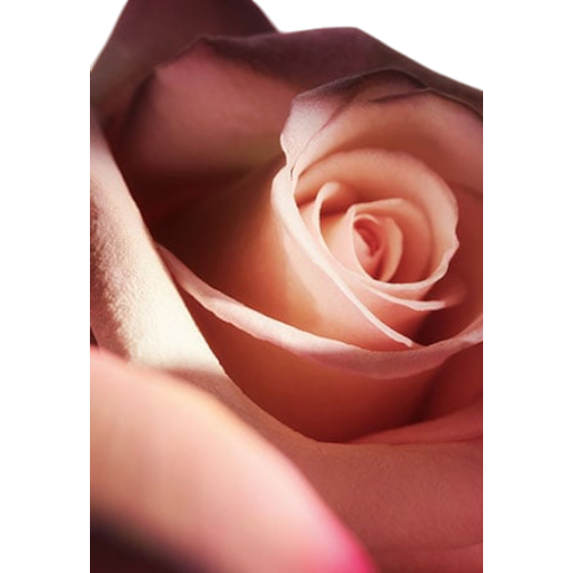 https://storage.alifshop.tj/media/images/alifshop/49186/parfyumernaya-voda-paco-rabanne-olympea-flora-50-ml-1769509849137.png