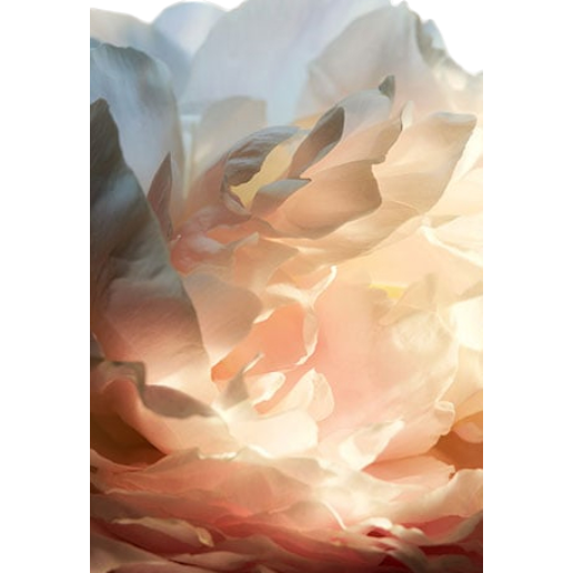 https://storage.alifshop.tj/media/images/alifshop/49186/parfyumernaya-voda-paco-rabanne-olympea-flora-50-ml-1769509850122.png