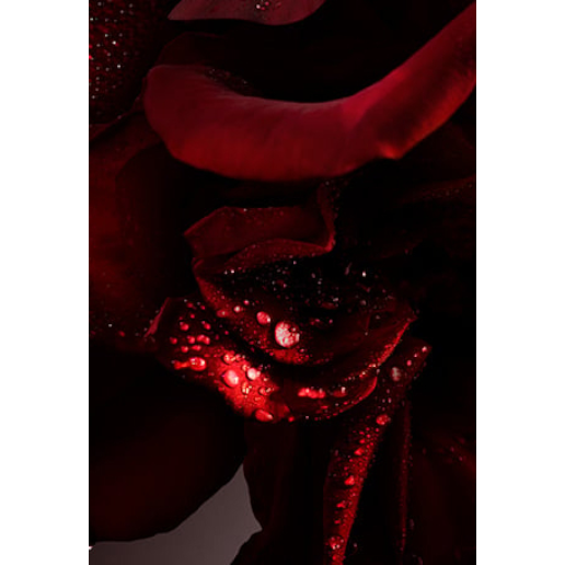 https://storage.alifshop.tj/media/images/alifshop/49190/duhi-paco-rabanne-1-million-elixir-50-ml-1769510755090.png