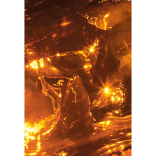 https://storage.alifshop.tj/media/images/alifshop/49197/parfyumernaya-voda-paco-rabanne-fame-intense-50-ml-1769512255909.png
