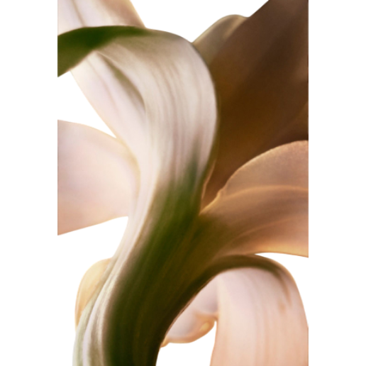 https://storage.alifshop.tj/media/images/alifshop/49197/parfyumernaya-voda-paco-rabanne-fame-intense-50-ml-1769512256965.png