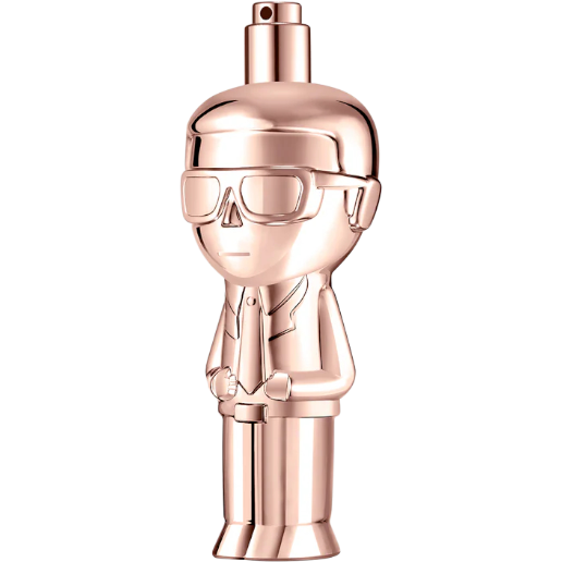 https://storage.alifshop.tj/media/images/alifshop/49215/parfyumernaya-voda-karl-lagerfeld-ikon-pour-femme-60-ml-1769574458438.png