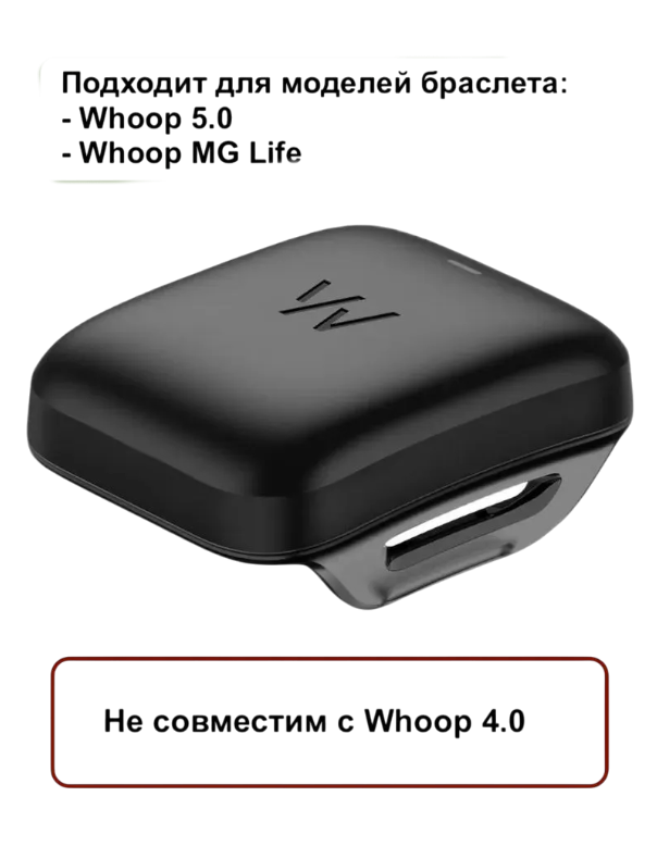 https://storage.alifshop.tj/media/images/alifshop/49252/vneshniy-akkumulyator-whoop-5-0-mg-758-4-ma-ch-chernyy-1769586644600.png