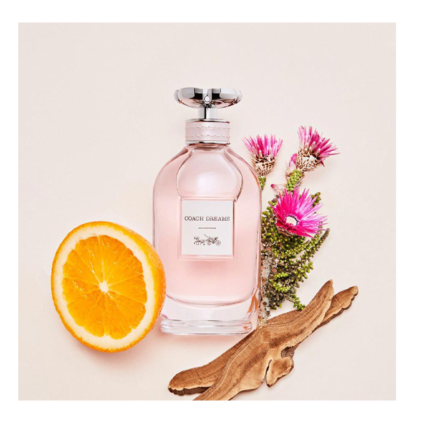 https://storage.alifshop.tj/media/images/alifshop/49309/parfyumernaya-voda-coach-dreams-90-ml-1769601740690.png