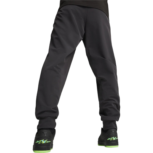 https://storage.alifshop.tj/media/images/alifshop/49883/sportivnye-bryuki-puma-mercedes-amg-petronas-f1-627313-l-chernyy-1770037071387.png