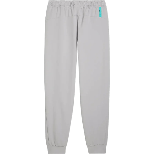 https://storage.alifshop.tj/media/images/alifshop/49888/sportivnye-bryuki-puma-mercedes-amg-petronas-f1-627313-xs-seryy-1770037791364.png