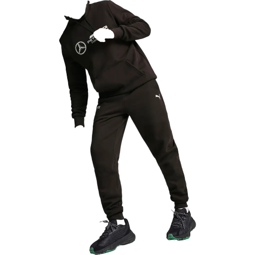 https://storage.alifshop.tj/media/images/alifshop/49895/sportivnye-bryuki-puma-mercedes-amg-petronas-f1-ess-627346-xs-chernyy-1770039772156.png