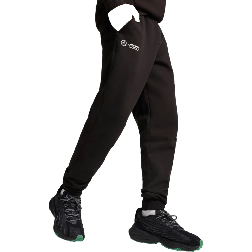https://storage.alifshop.tj/media/images/alifshop/49896/sportivnye-bryuki-puma-mercedes-amg-petronas-f1-ess-627346-s-chernyy-1770039863765.png
