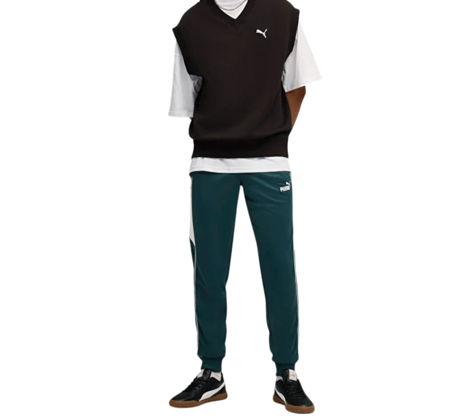 https://storage.alifshop.tj/media/images/alifshop/49919/muzhskie-bryuki-puma-sport-poly-pants-688248-xs-zelenyy-1770043534099.png