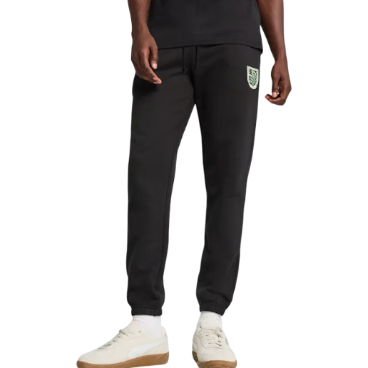 https://storage.alifshop.tj/media/images/alifshop/50024/muzhskie-bryuki-puma-sports-legacy-graphic-sweatpants-men-629631-l-chernyy-1770112410678.png