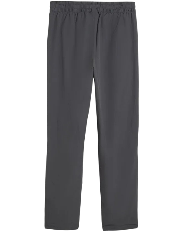 https://storage.alifshop.tj/media/images/alifshop/50075/bryuki-puma-tech-woven-cargo-pants-688046-xl-seryy-1770176119175.png