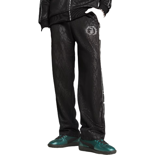 https://storage.alifshop.tj/media/images/alifshop/50090/sportivnye-bryuki-puma-puma-x-harry-potter-630095-s-chernyy-1770178909549.png