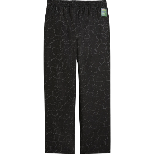 https://storage.alifshop.tj/media/images/alifshop/50100/sportivnye-bryuki-puma-puma-x-tmnt-pumatech-630103-l-chernyy-1770181034789.png