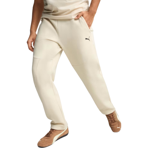 https://storage.alifshop.tj/media/images/alifshop/50101/bryuki-pumatech-track-pants-men-629682-xs-bezhevyy-1770181110095.png