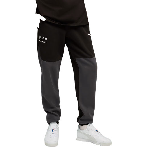 https://storage.alifshop.tj/media/images/alifshop/50155/sportivnye-bryuki-puma-bmw-m-motorsport-pumatech-632976-l-chernyy-1770194512713.png