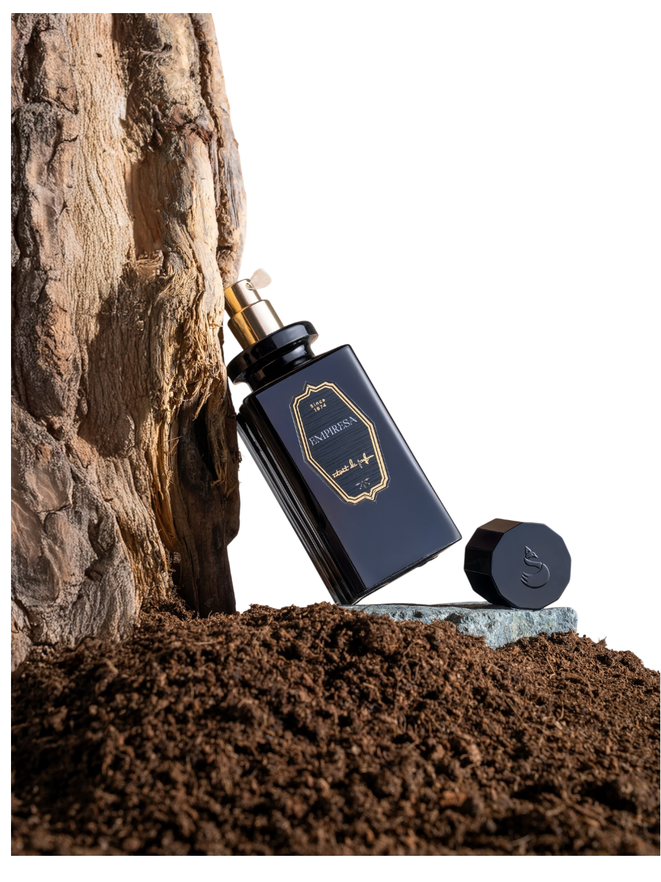 https://storage.alifshop.tj/media/images/alifshop/50197/parfyumernaya-voda-sasan-empiresa-50-ml-1770220138898.png