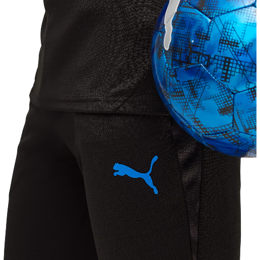 https://storage.alifshop.tj/media/images/alifshop/50201/sportivnye-bryuki-puma-individualcup-660250-xs-cherno-siniy-1770208799735.png