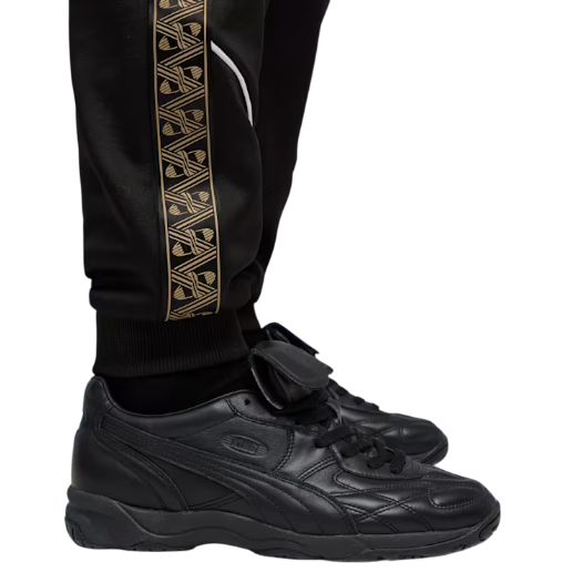 https://storage.alifshop.tj/media/images/alifshop/50242/muzhskie-bryuki-puma-king-anthem-football-pants-660291684620-l-chernyy-1770265689028.png