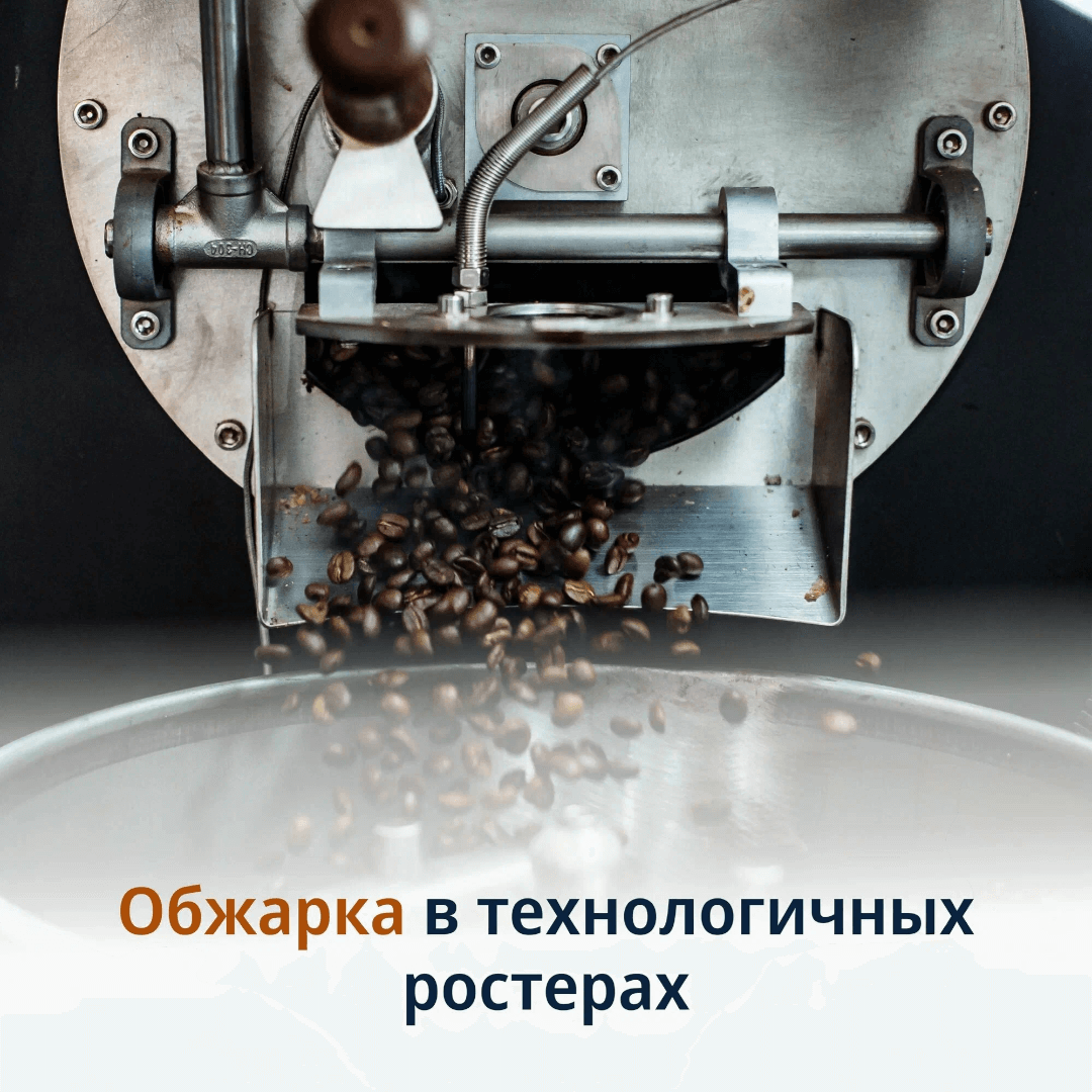 https://storage.alifshop.tj/media/images/alifshop/50399/kofe-v-zernah-delonghi-signature-africana-selection-blend-coffee-1kg-copy-1770370039434.png