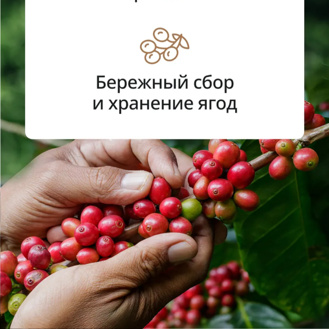 https://storage.alifshop.tj/media/images/alifshop/50411/kofe-v-zernah-delonghi-espresso-selection-blend-1kg-1770373590212.png