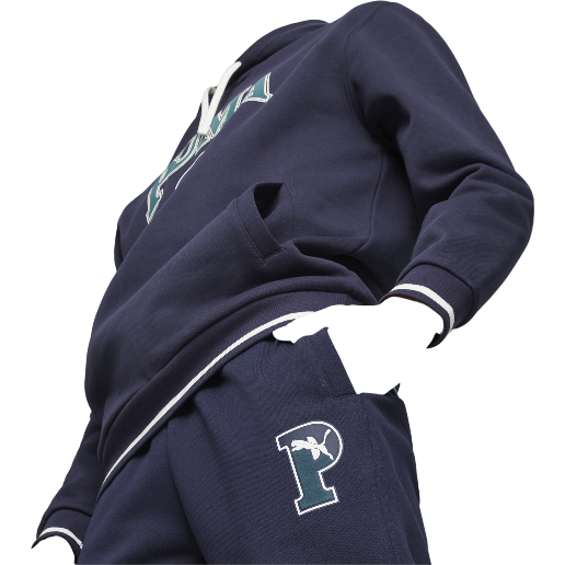 https://storage.alifshop.tj/media/images/alifshop/50423/sportivnye-bryuki-puma-squad-676019-xs-temno-siniy-1770374768128.png