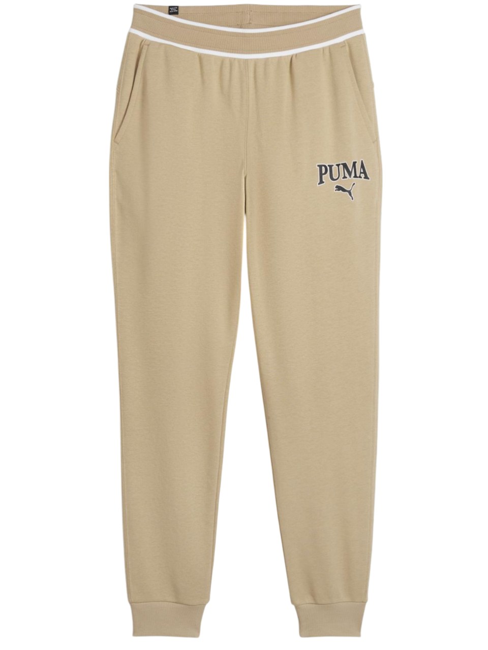 https://storage.alifshop.tj/media/images/alifshop/50440/muzhskie-bryuki-puma-squad-sweatpants-678972-xl-bezhevyy-1770377087141.png