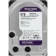 https://storage.alifshop.tj/media/images/alifshop/50538/vnutrenniy-zhestkiy-disk-western-digital-purple-wd82purz-8-tb-copy-1770633750441-xs.webp