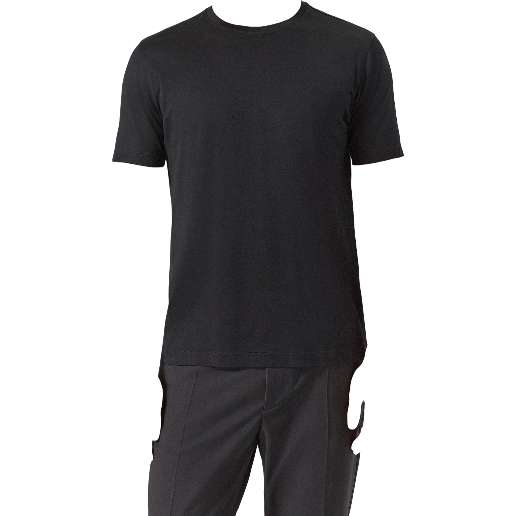 https://storage.alifshop.tj/media/images/alifshop/50872/muzhskaya-futbolka-corneliani-25g500-2525000-020-s-chernyy-1770788528422.png