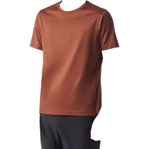 https://storage.alifshop.tj/media/images/alifshop/50918/muzhskaya-futbolka-corneliani-25g500-2525000-032-xl-temno-korichnevyy-1770794143549.png