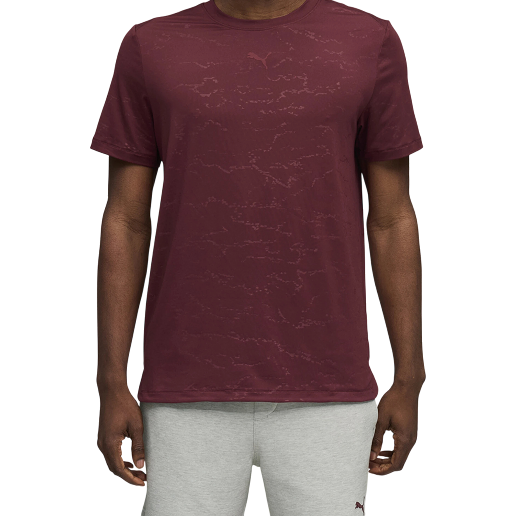 https://storage.alifshop.tj/media/images/alifshop/50987/muzhskaya-futbolka-puma-m-cloudspun-emboss-tee-527646-m-bordovyy-1770830127974.png