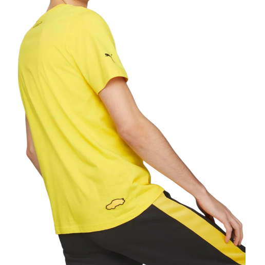 https://storage.alifshop.tj/media/images/alifshop/50998/muzhskaya-futbolka-puma-pl-logo-tee-lemon-chrome-538236-xs-zheltyy-1770832947045.png