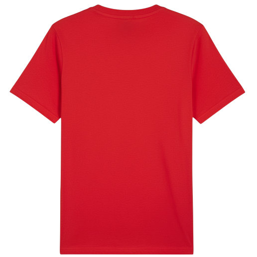https://storage.alifshop.tj/media/images/alifshop/51277/muzhskaya-futbolka-puma-ferrari-race-graphic-tee-627052-xxl-krasnyy-1770976075437.png