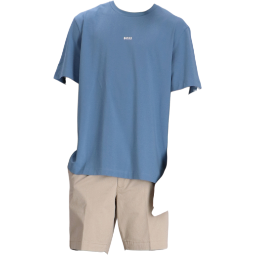 https://storage.alifshop.tj/media/images/alifshop/51308/muzhskaya-futbolka-boss-tchup-50473278-462-xs-siniy-1770980631334.png