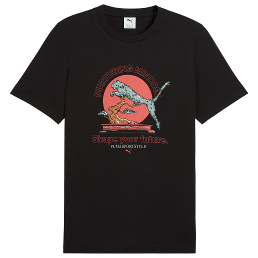 https://storage.alifshop.tj/media/images/alifshop/51352/muzhskaya-futbolka-puma-graphics-bonsai-629634-l-chernyy-1771137939169.png