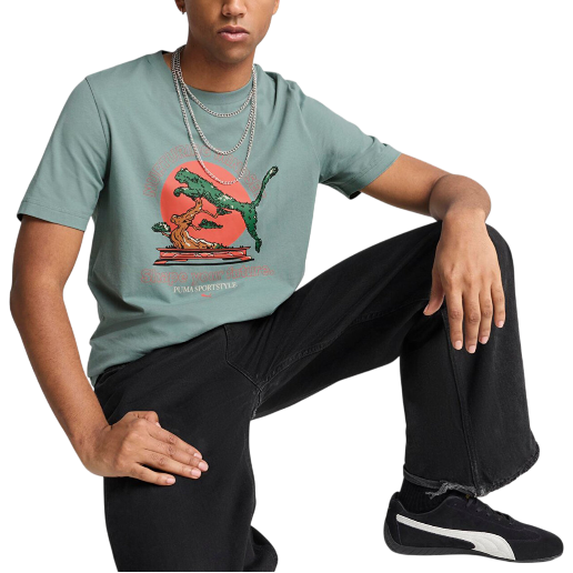 https://storage.alifshop.tj/media/images/alifshop/51365/muzhskaya-futbolka-puma-graphics-bonsai-629634-xl-zelenyy-1771171278543.png