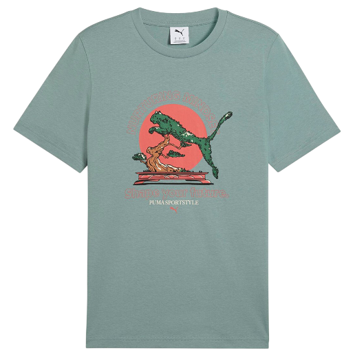 https://storage.alifshop.tj/media/images/alifshop/51365/muzhskaya-futbolka-puma-graphics-bonsai-629634-xl-zelenyy-1771171280429.png