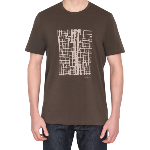 https://storage.alifshop.tj/media/images/alifshop/51900/muzhskaya-futbolka-corneliani-93g590-9325038-030-xxl-korichnevyy-1771585664535.png