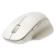 https://storage.alifshop.tj/media/images/alifshop/51981/mysh-xiaomi-mouse-2-comfort-edition-xmsmsbo1eym-belyy-1771838056904-xs.webp