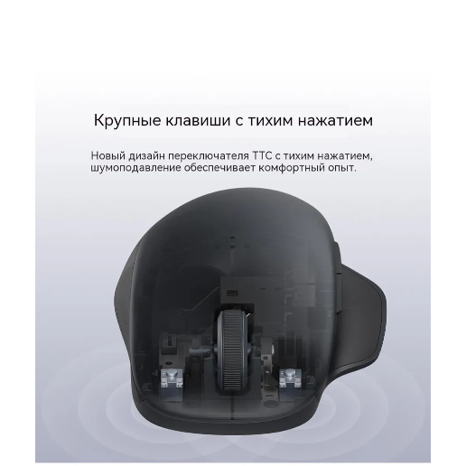 https://storage.alifshop.tj/media/images/alifshop/51983/mysh-xiaomi-mouse-2-comfort-edition-xmsmsbo1eym-chernyy-1771838498323.png