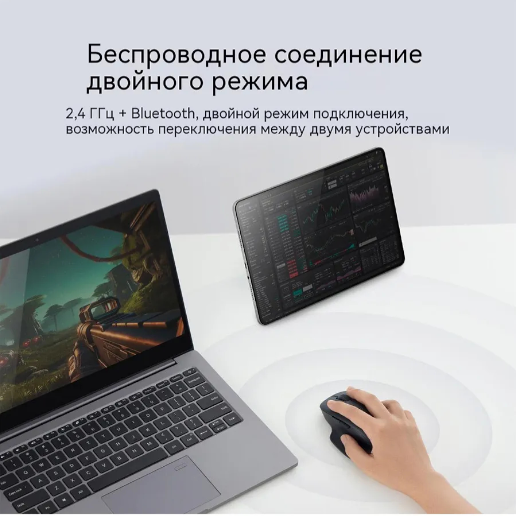 https://storage.alifshop.tj/media/images/alifshop/51983/mysh-xiaomi-mouse-2-comfort-edition-xmsmsbo1eym-chernyy-1771838500033.png